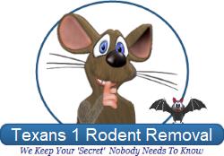 animals,home,texas,texans 1 rodent removal,rats,squirrels,raccoons,skunks,bats,get rid,company,houston,mice,remove rats,exterminator,rats in attic,mice in attic,scratching,problem,walls,ceiling,attic,control,service